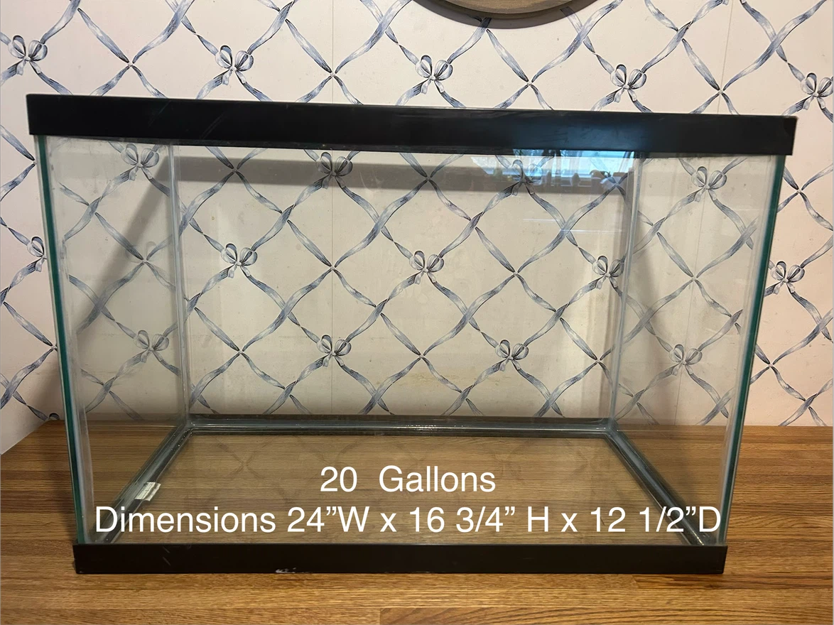 20 Gallon Aquarium Tank
