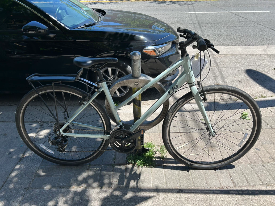 Giant Liv Women's Hybrid Bike - Size M
