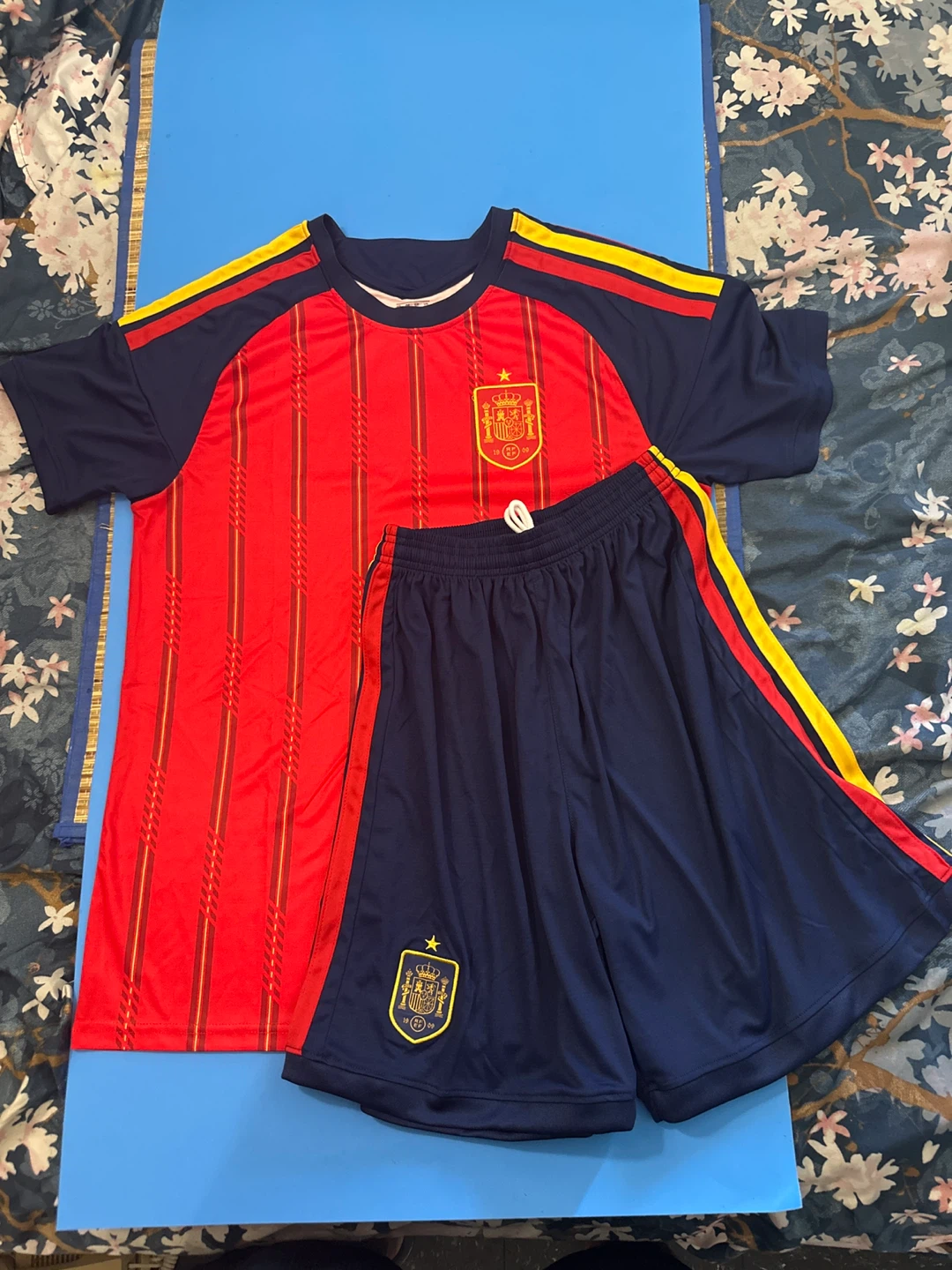 Spain world cup jersey and shorts set