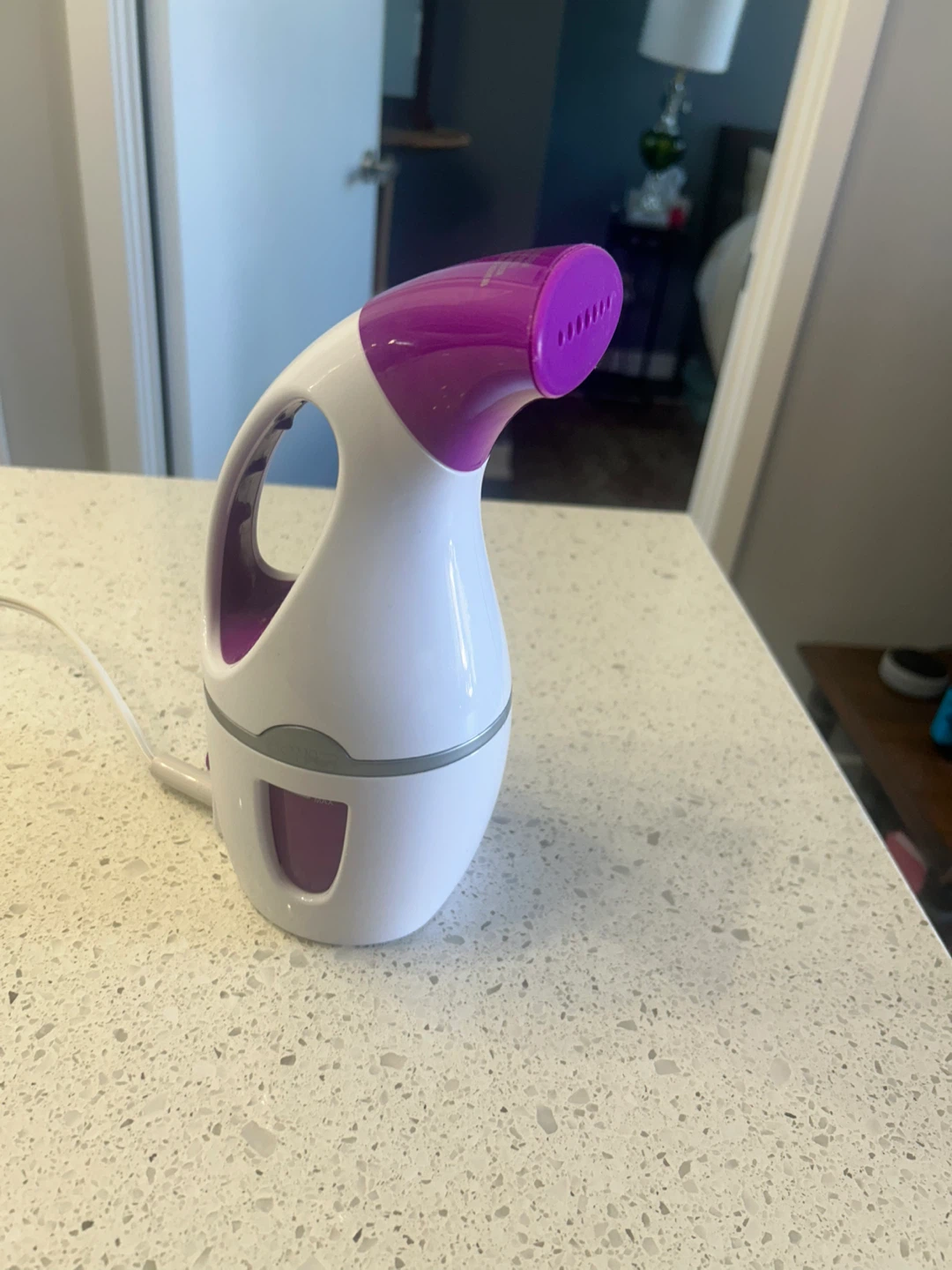 Garment steamer