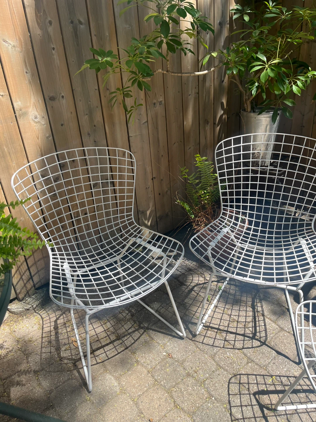 MCM Metal Chairs - 3