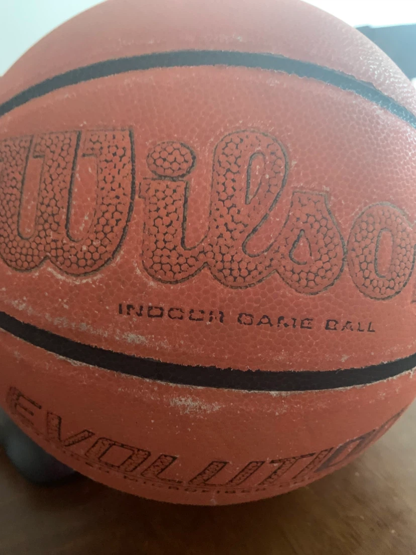 Wilson Evolution Indoor Game Basketball