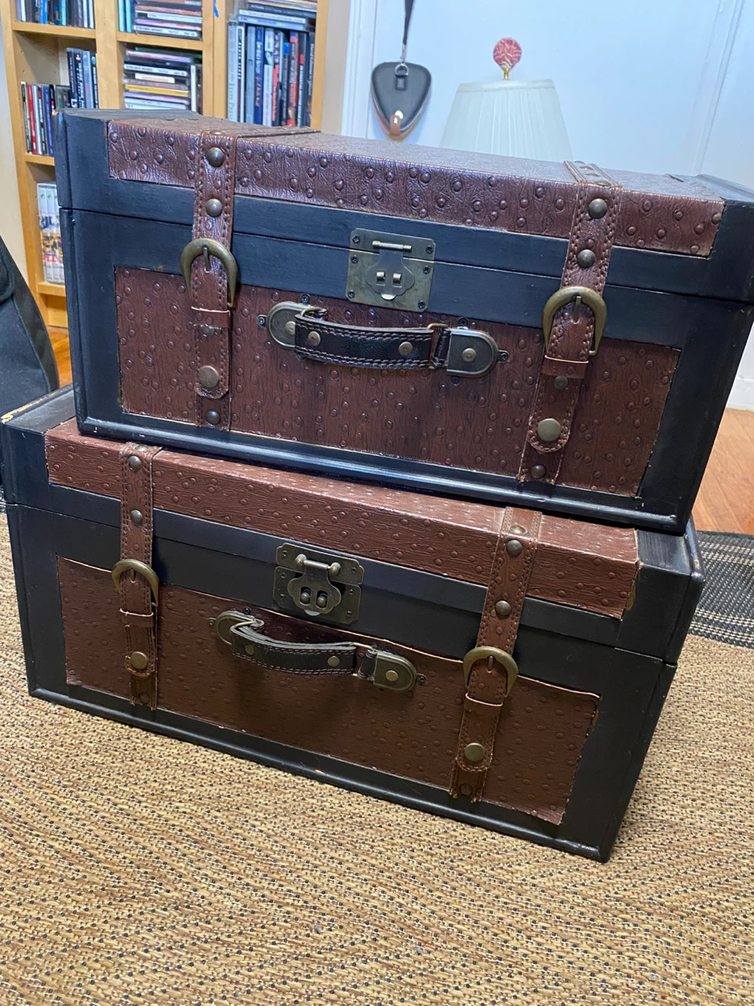 Set of 2 Decorative Vintage Trunks