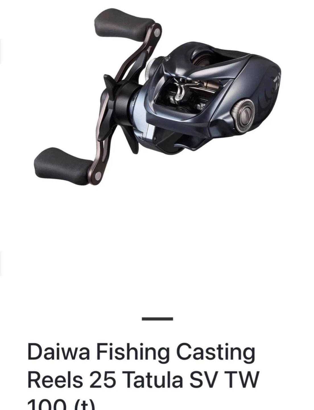 Daiwa 25 Tatula SV TW 100 Casting Fishing Reel