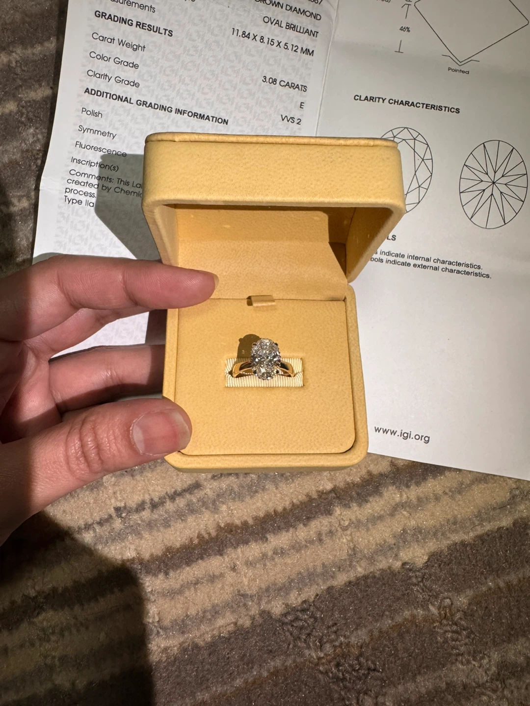 Lab Grown Diamond Oval Brilliant Engagement Ring