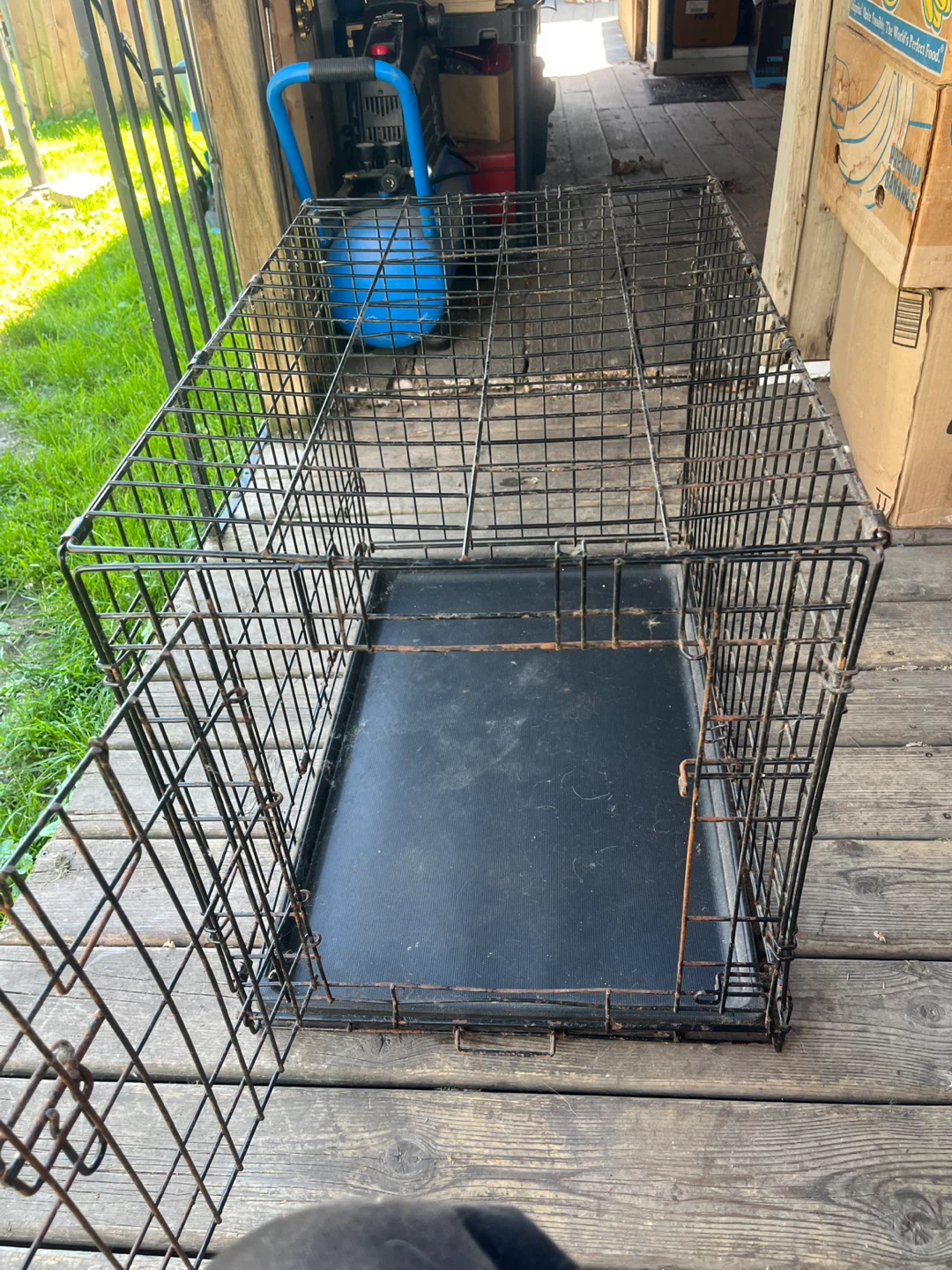 Wire Dog Crate
