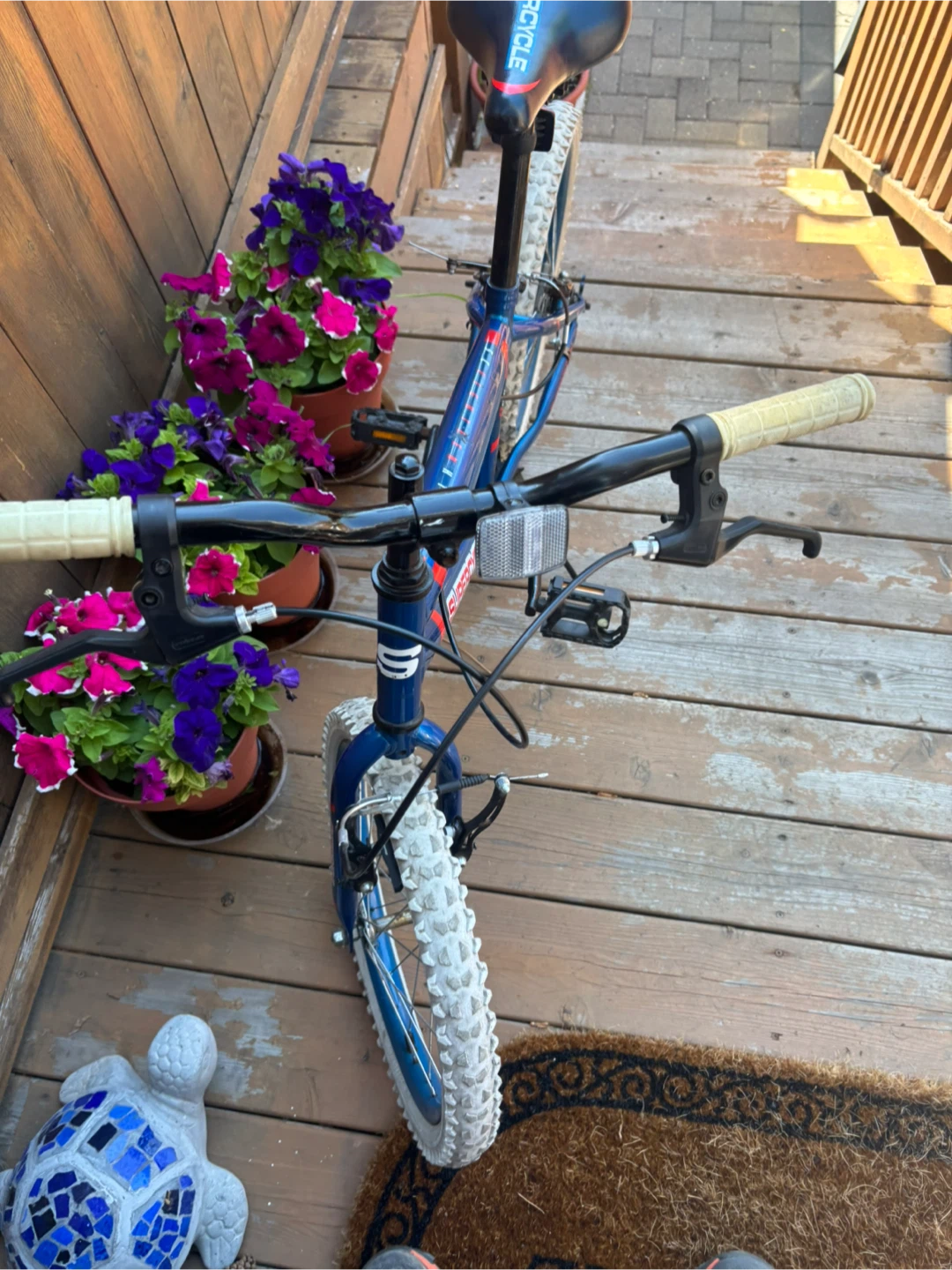 Supercycle Team Kids Bike - photo 5
