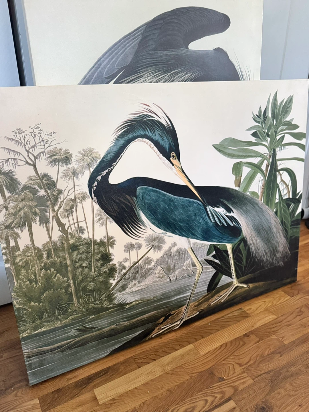 Vintage Heron Bird Canvas Art Print