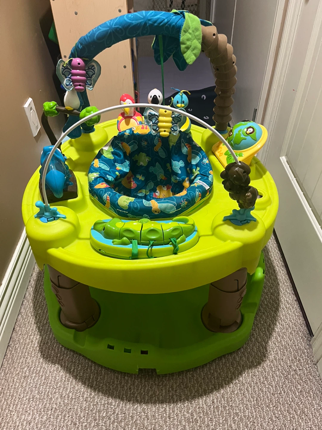 Baby Einstein Activity Jumper - photo 3