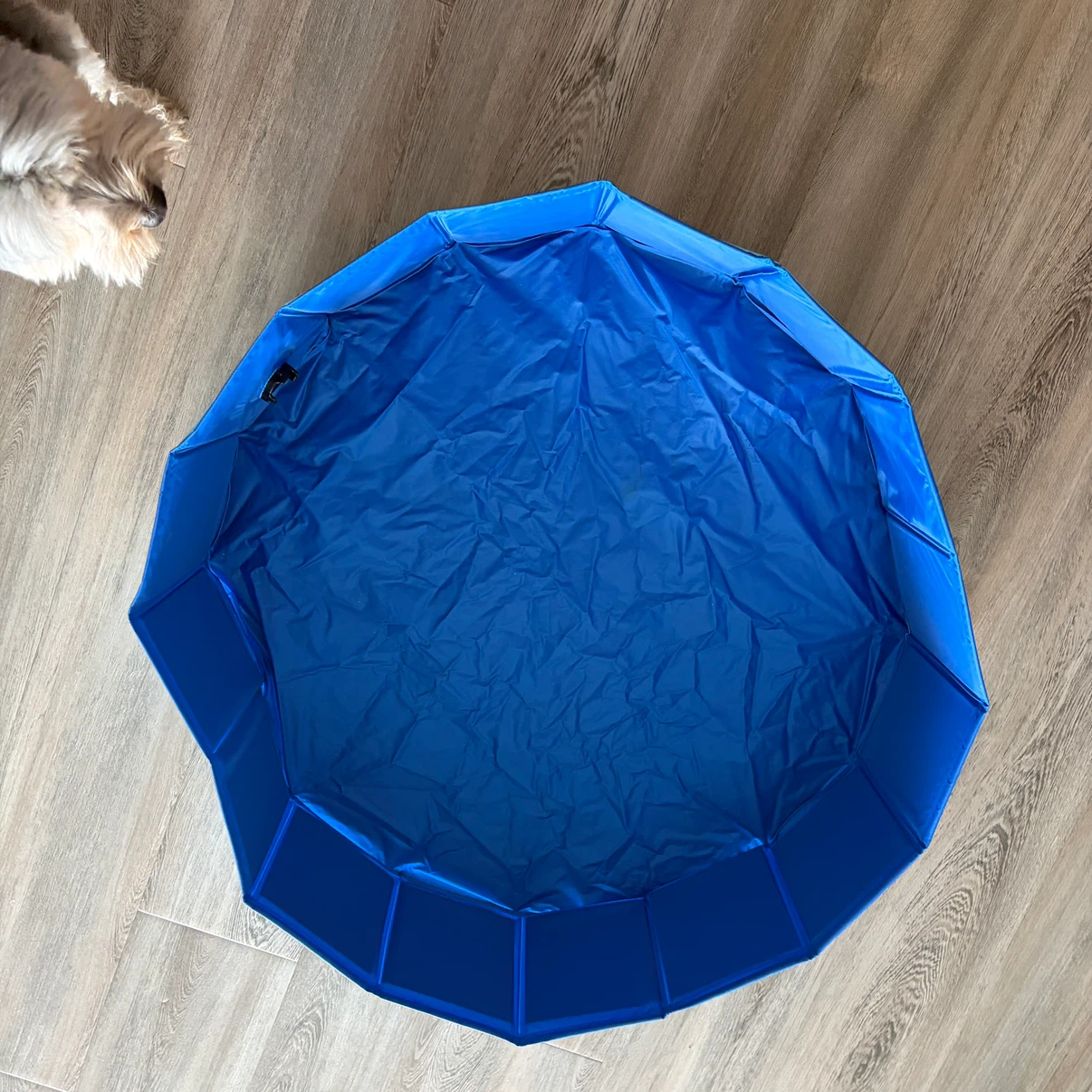 Blue Foldable dog Pool