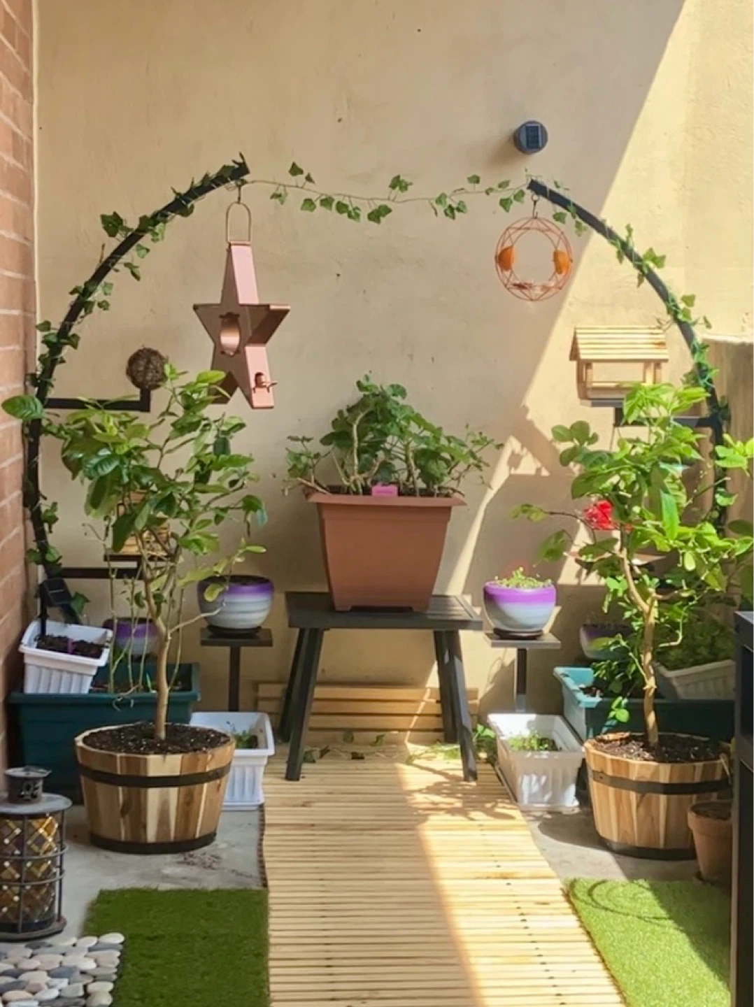 🌿 Garden & Bird Lover Bundle – Half Moon Plant Shelves