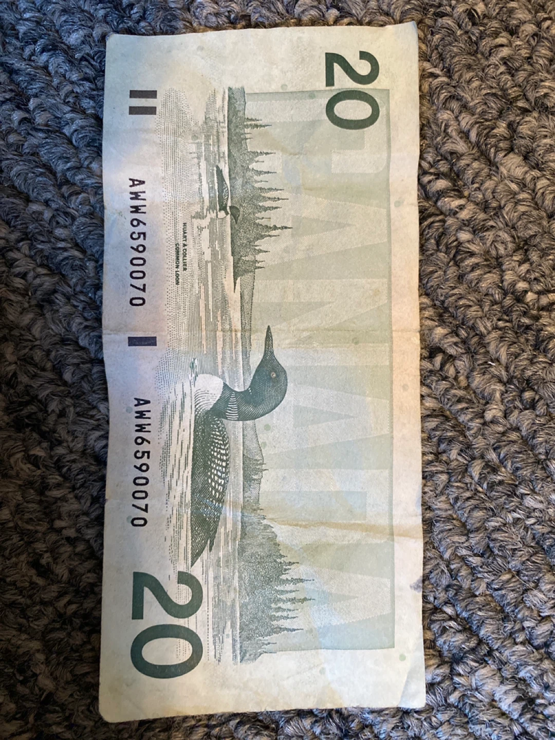 Canadian $5 and $20 old Canadian bills