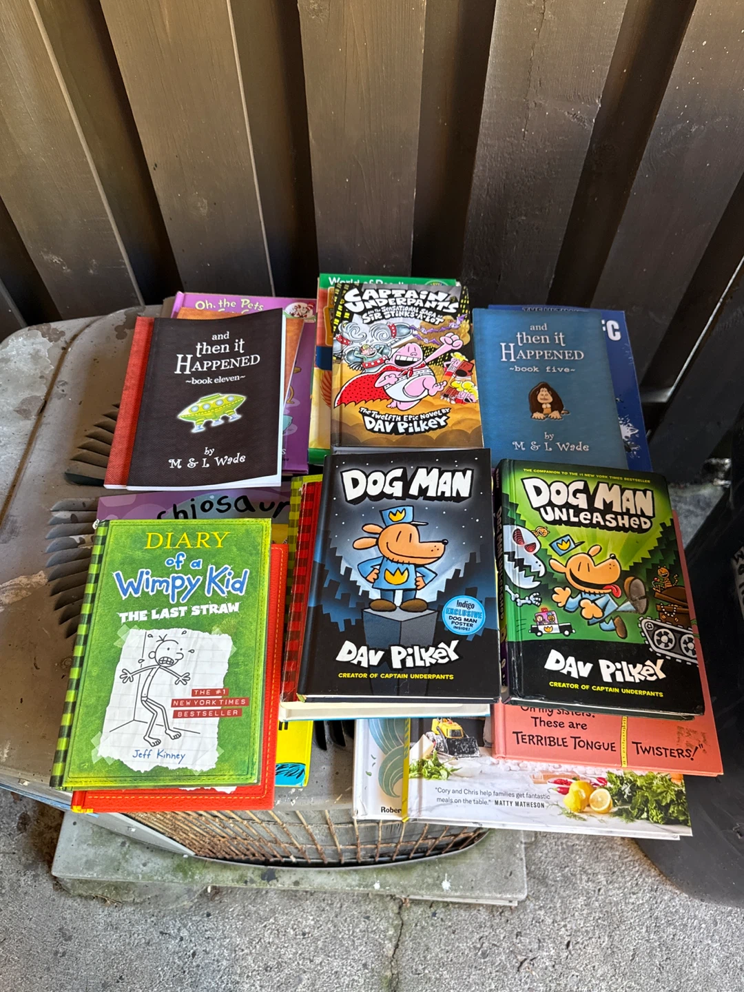 Assorted Children's Books - Dog Man, Wimpy Kid, and more