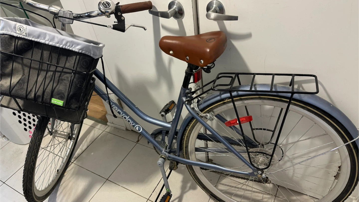 Trinity Everyday Cruiser Bike