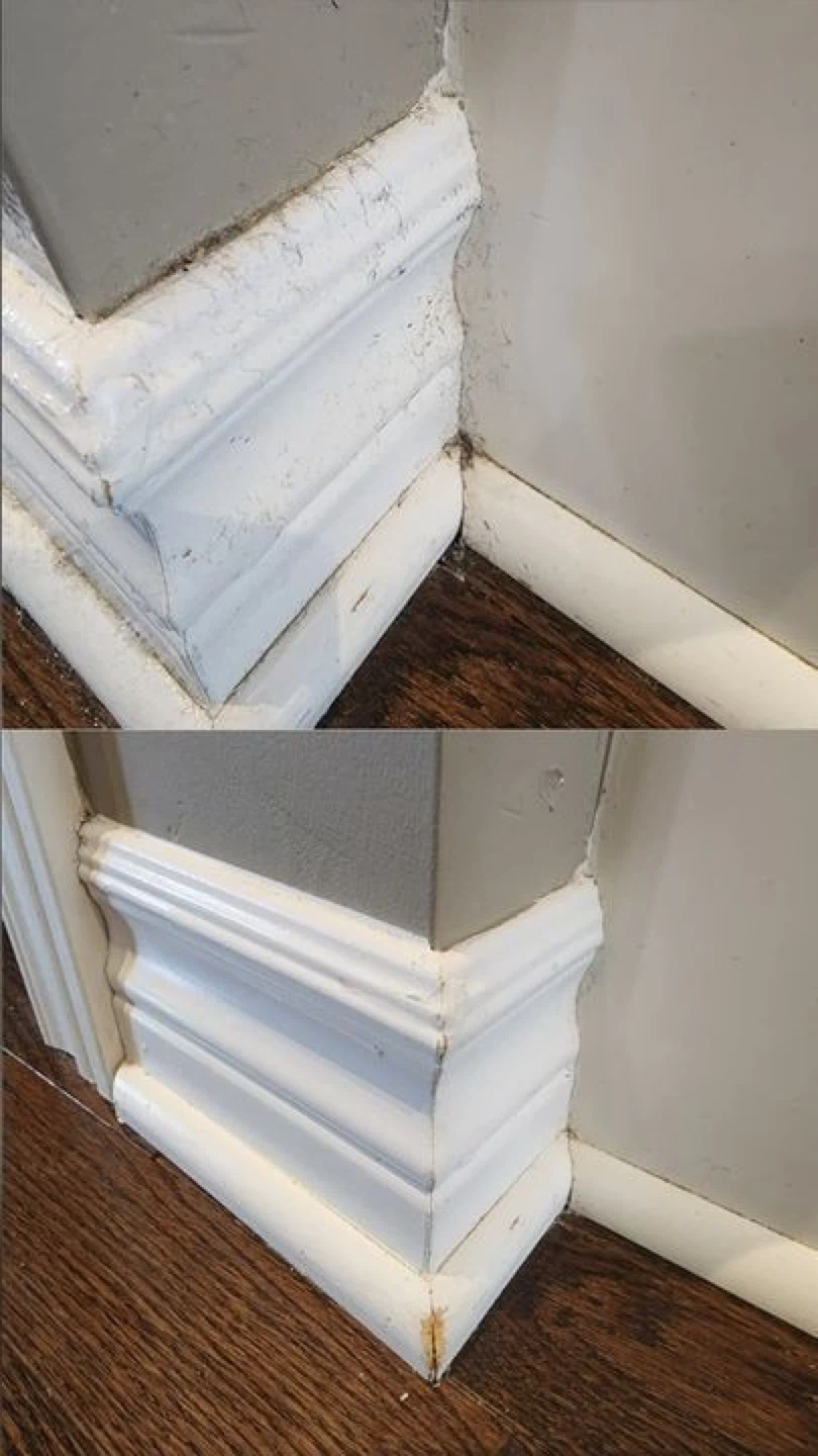 Eco Clean House Cleaning Services - photo 4