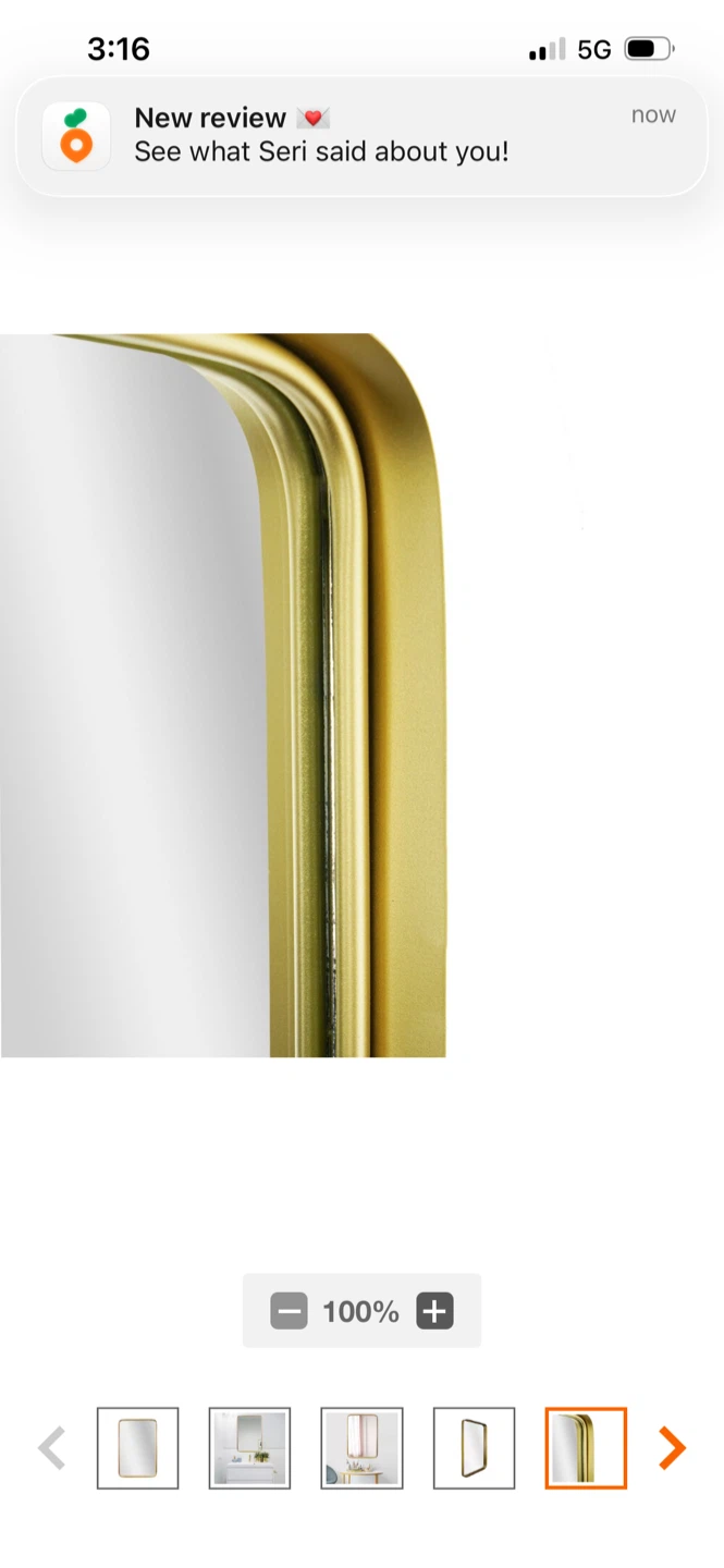 New Gold Framed Rounded Rectangle Mirror - photo 5