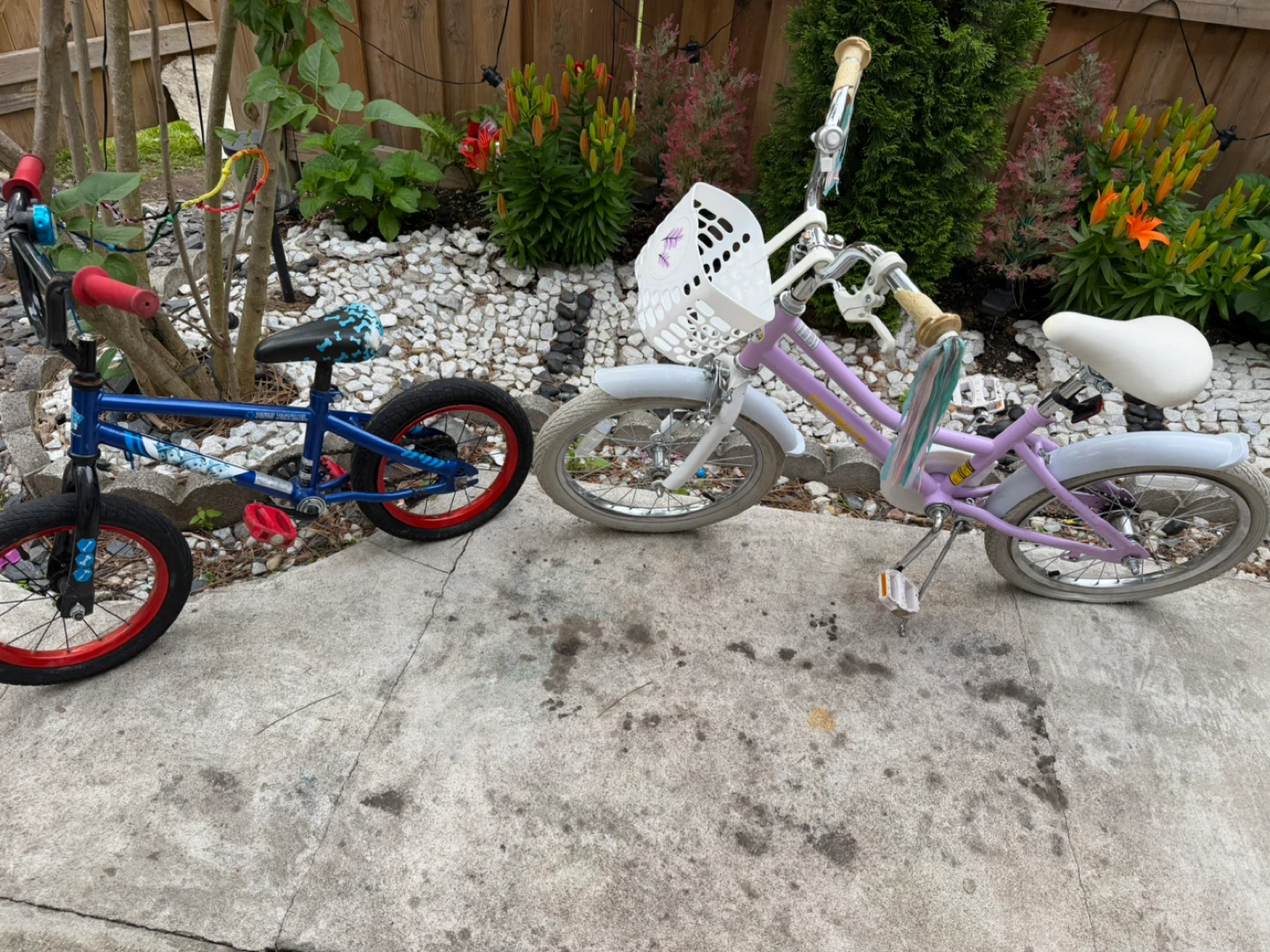 Kids' Bikes with Baskets - photo 5