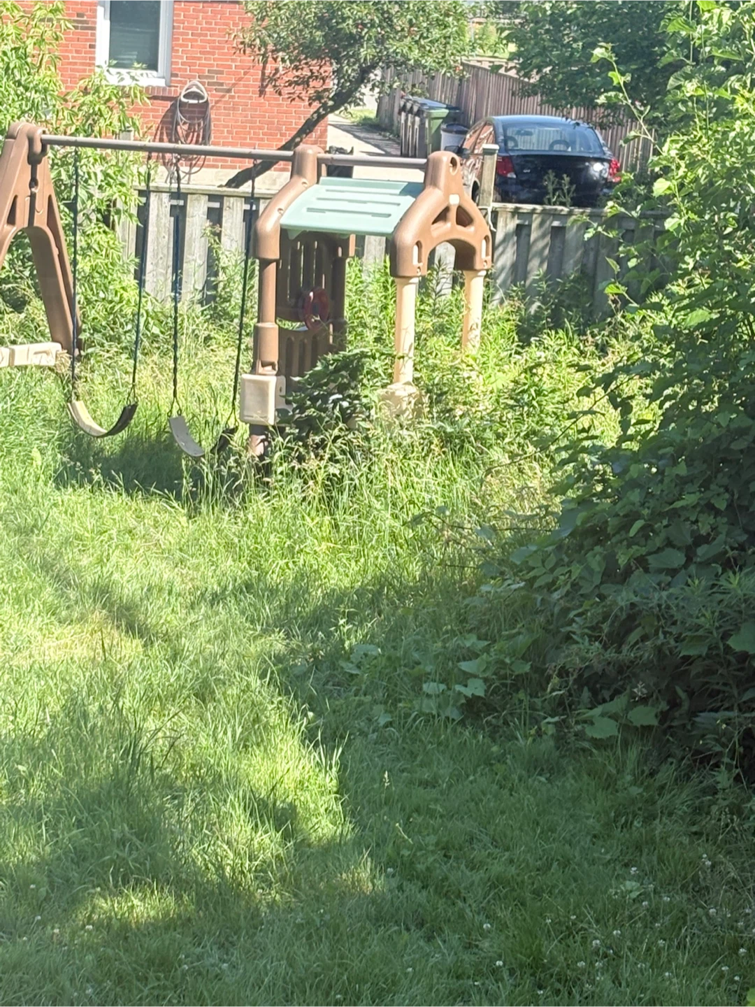 Yard Grass Cutting - photo 2