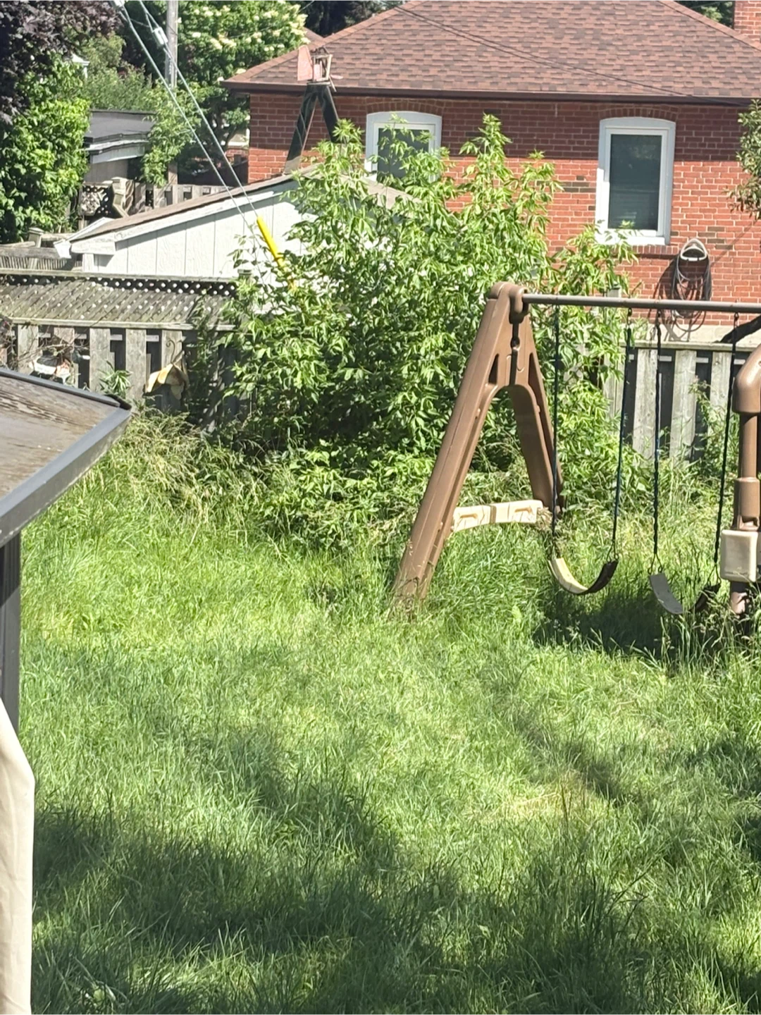 Yard Grass Cutting - photo 3
