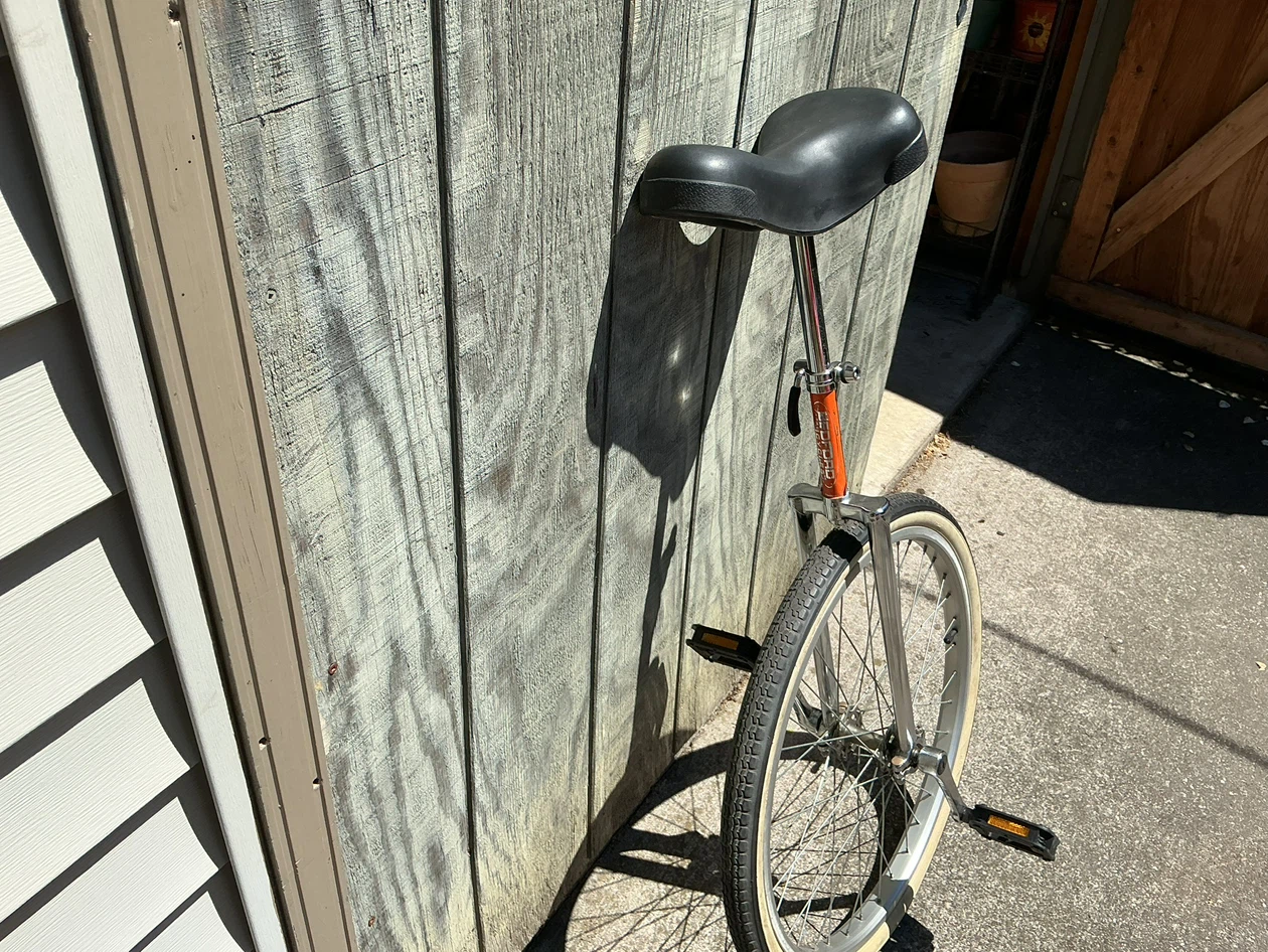 24” BEDFORD Chrome-Plated Steel Unicycle ! - photo 3