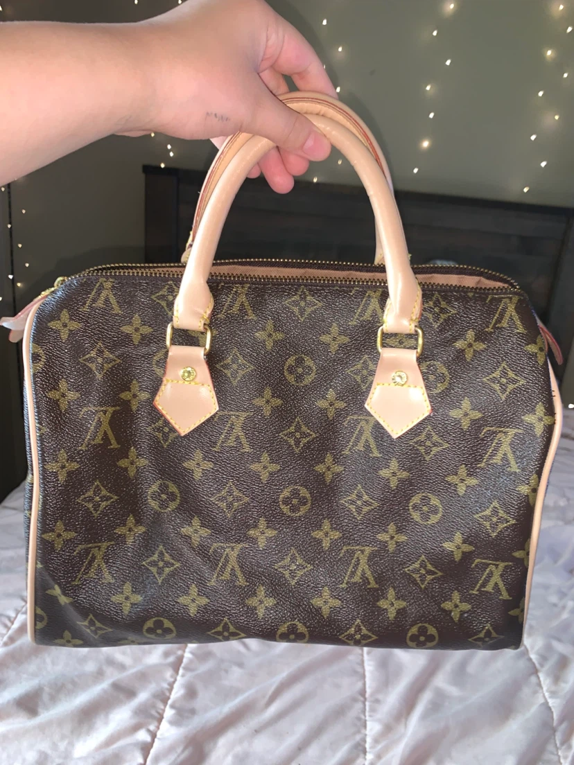 Louis Vuitton Speedy Bag