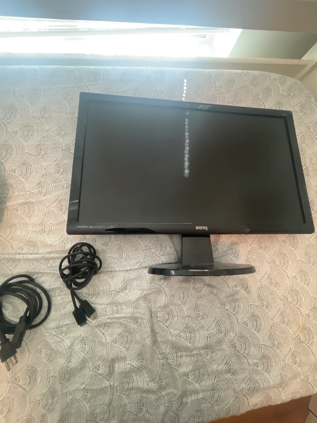 BenQ GL2450