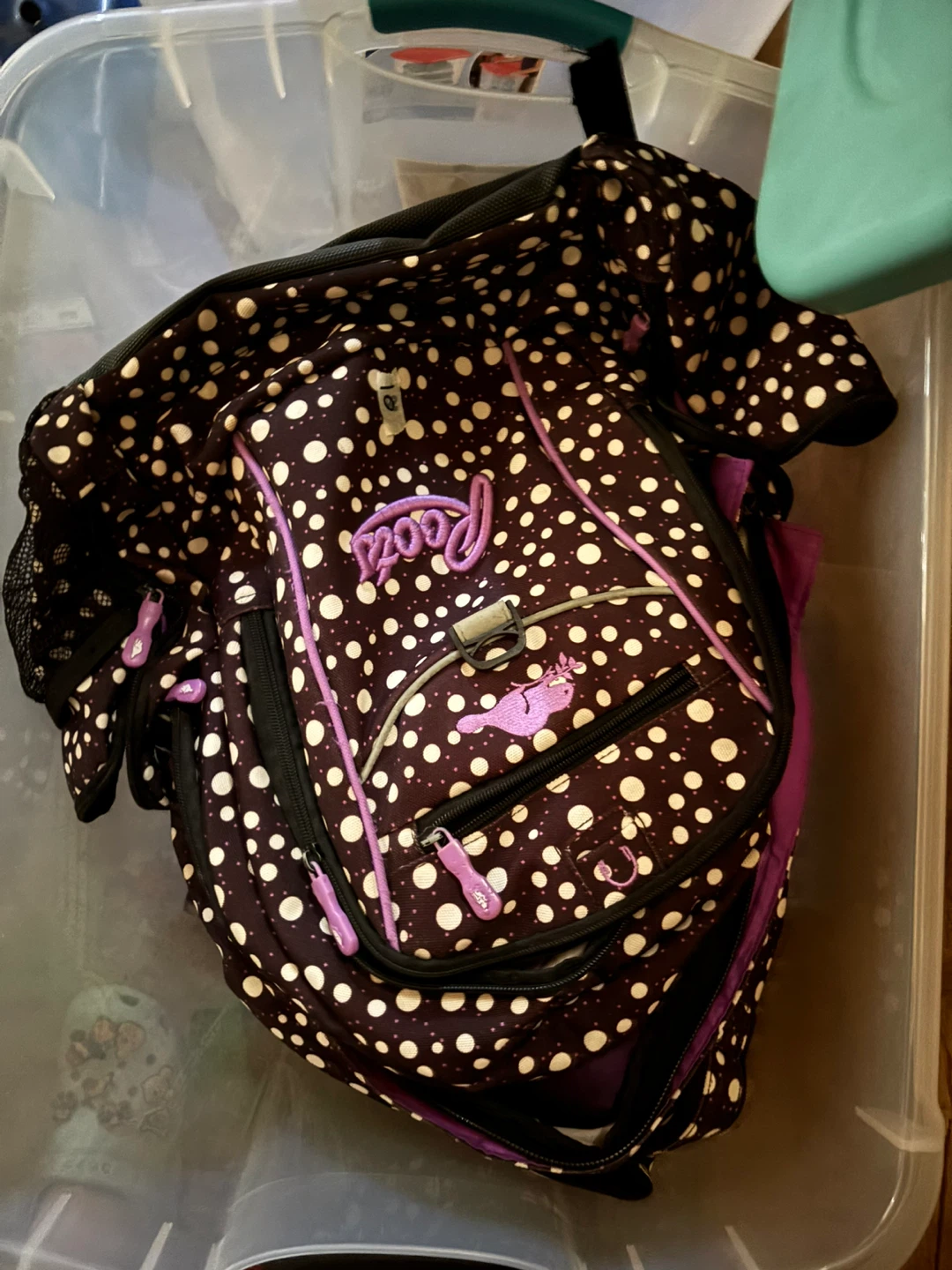 Roots Backpack Polka Dot
