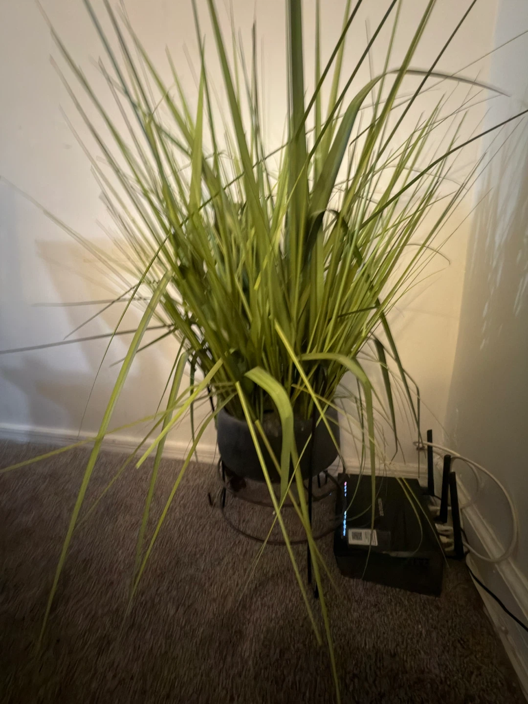 Artificial Grass Plant in Pot