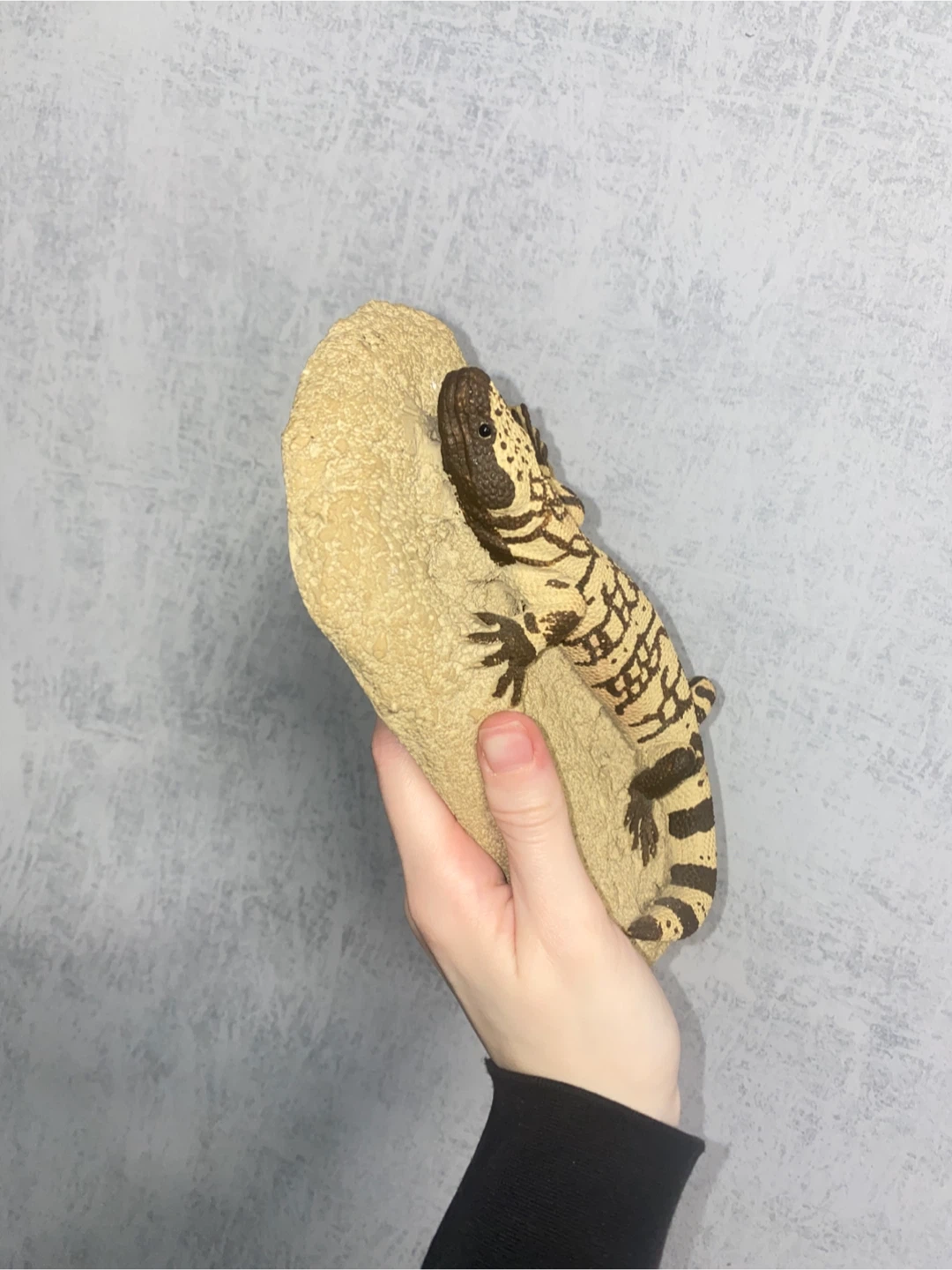 Gila Monster Realistic Replica Figurine - photo 2