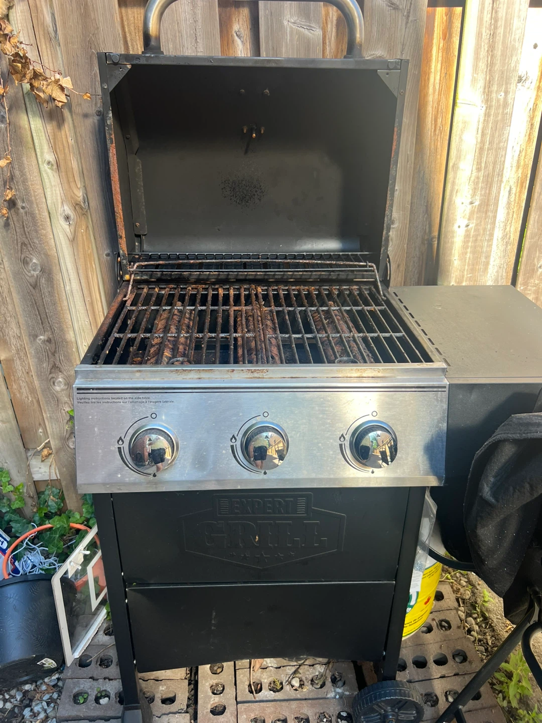 Expert Grill Propane BBQ - photo 2