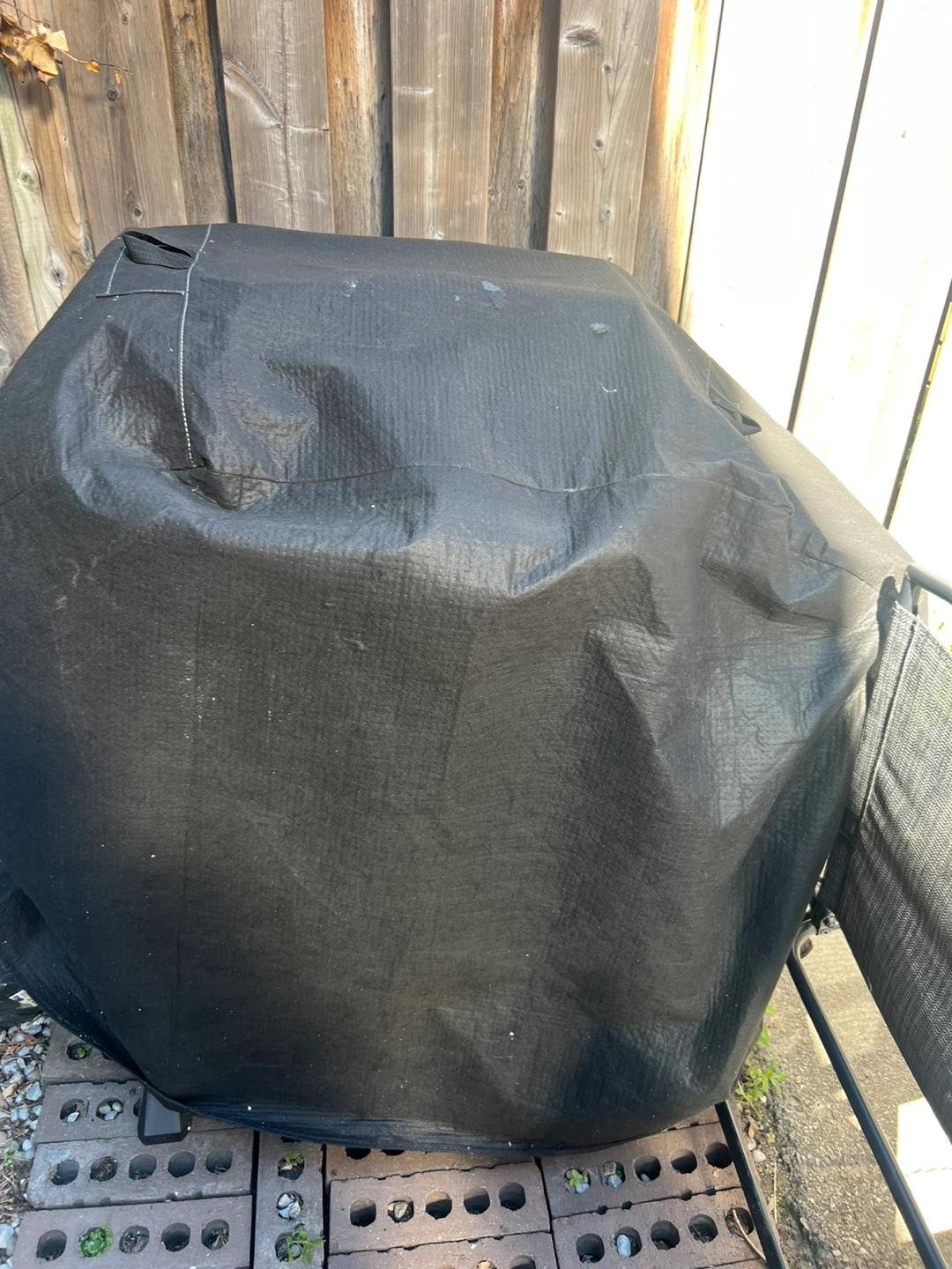 Expert Grill Propane BBQ - photo 4