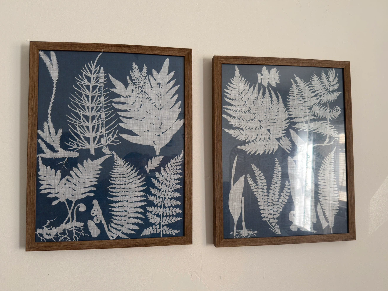 Set of 2 Framed Botanical Prints
