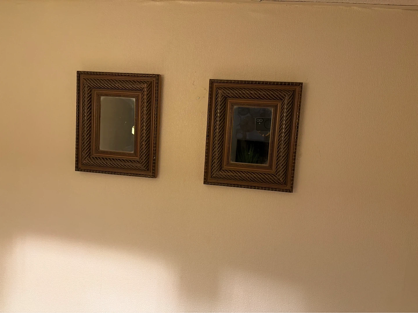 Set of 2 decorative wall mirrors