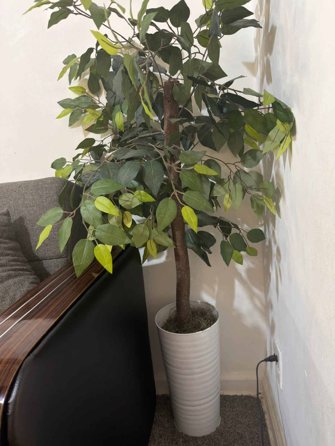 Artificial Ficus Tree in White Pot