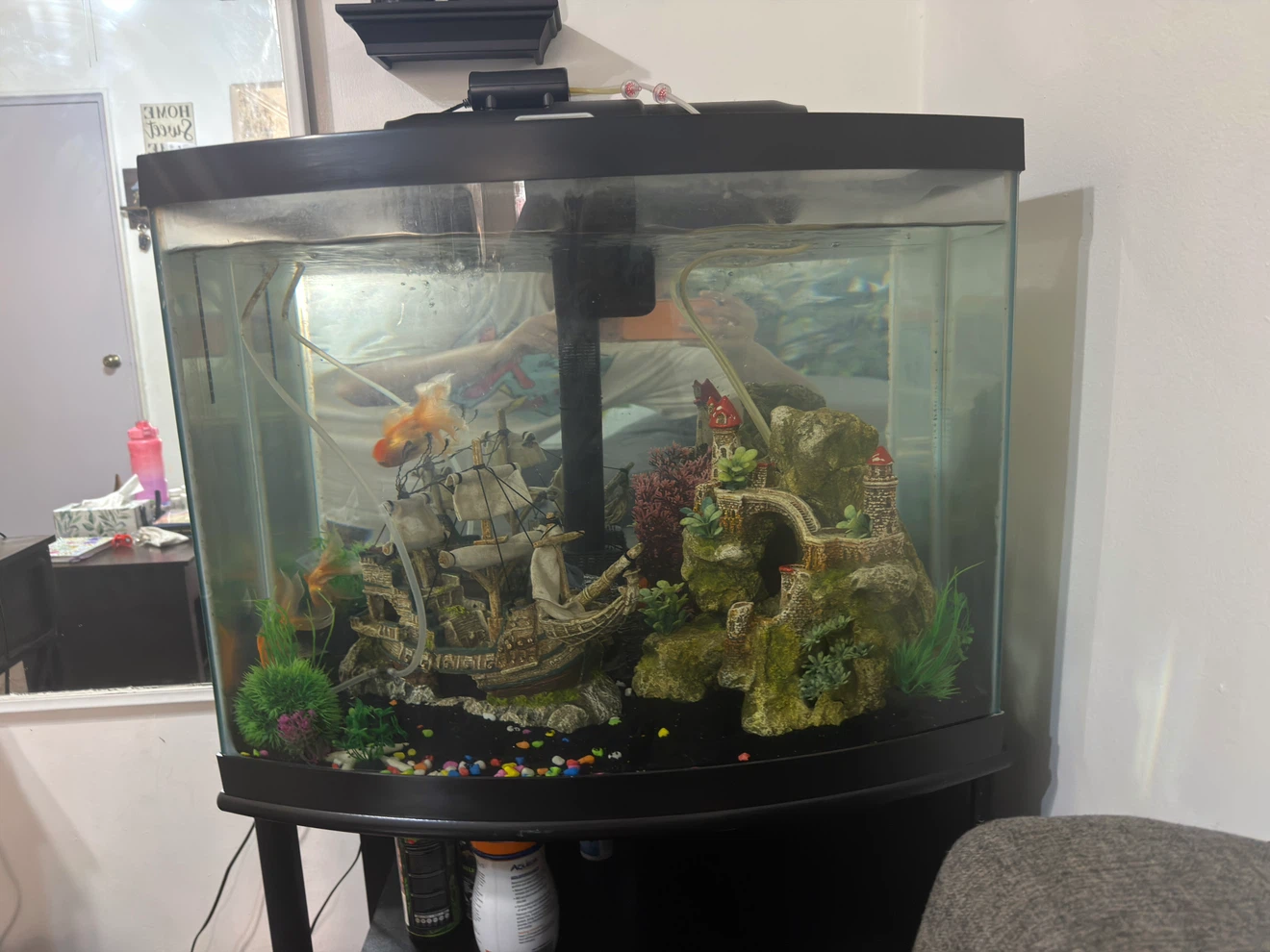 Curved Aquarium with Ship and Castle Decor