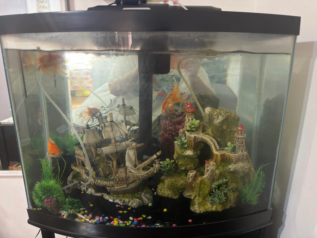 Curved Aquarium with Ship and Castle Decor - photo 3