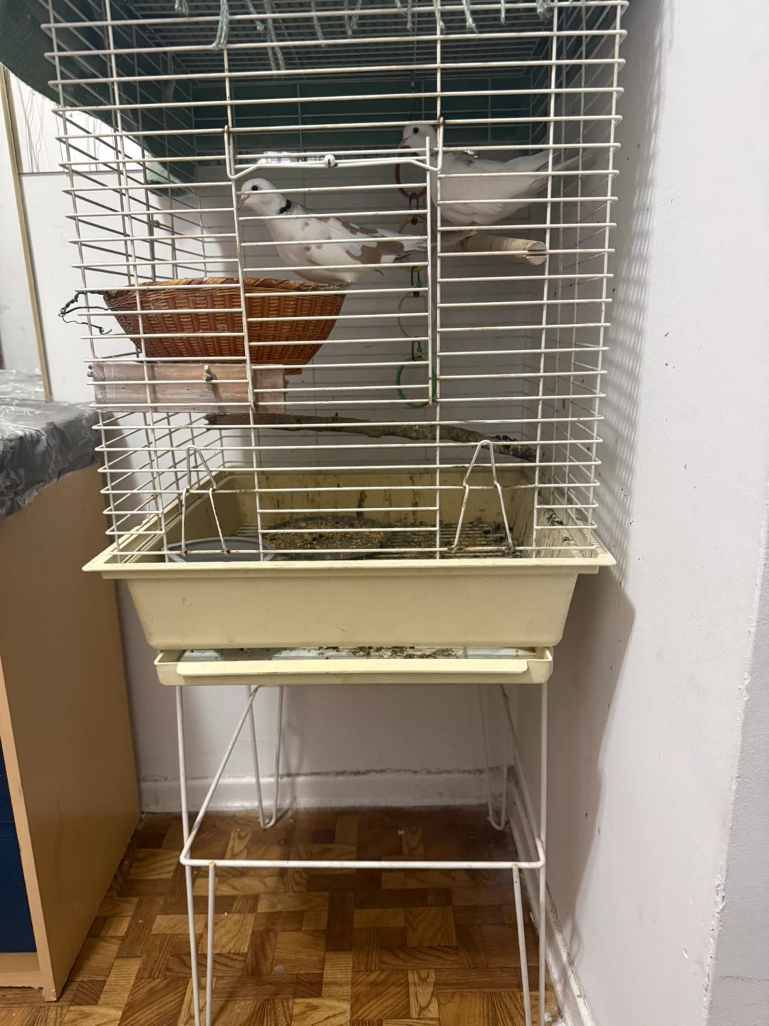 White daimond doves  cage accessories - photo 4
