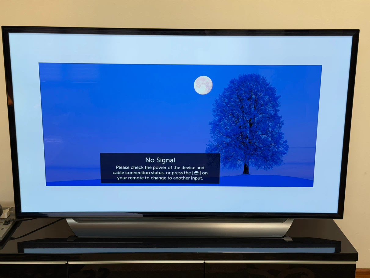 LG 65” OLED TV
