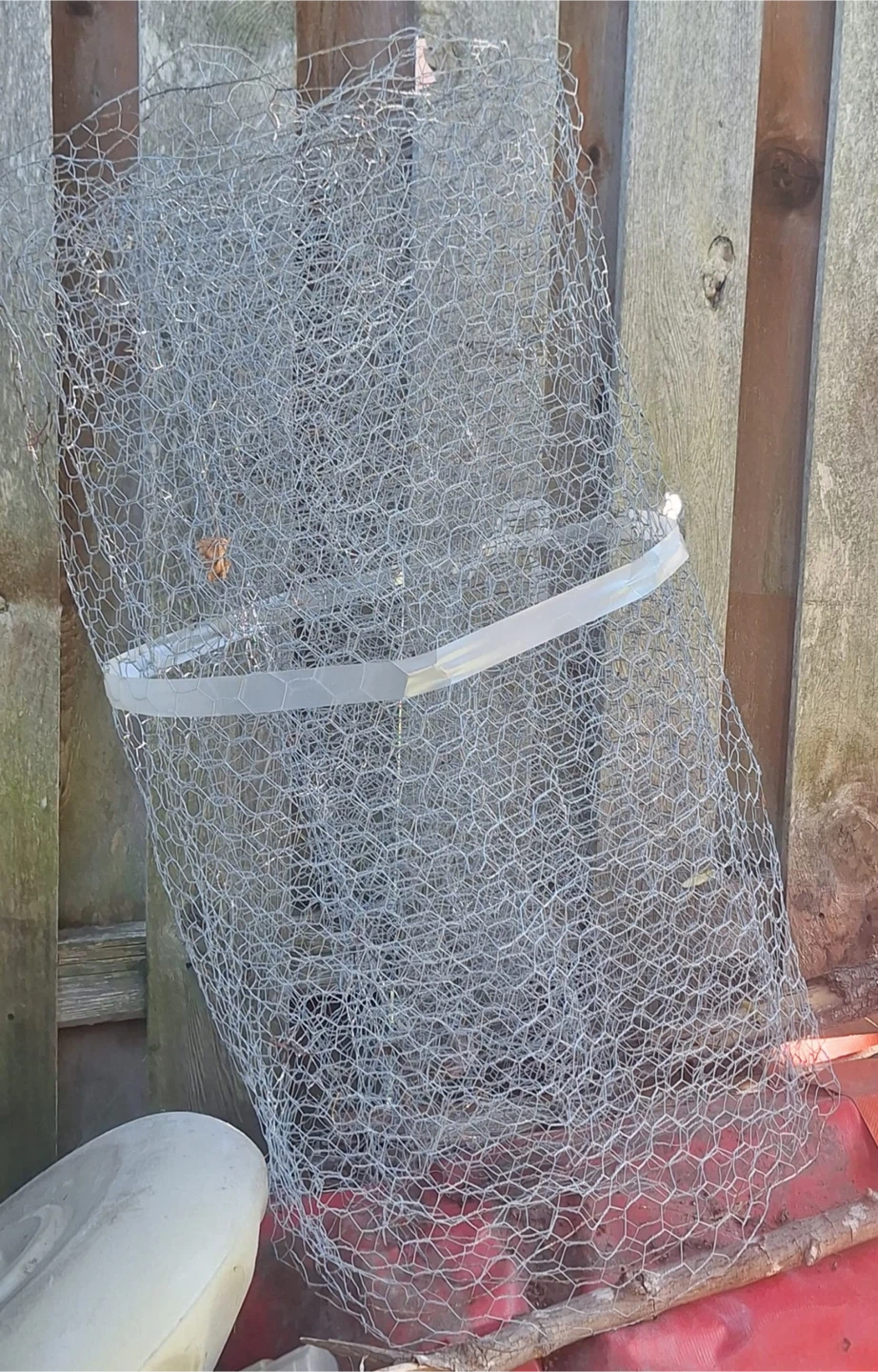 Chicken wire fence