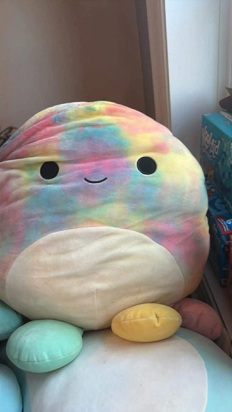 SQUISHMALLOWS  ALL KINDS! - photo 3