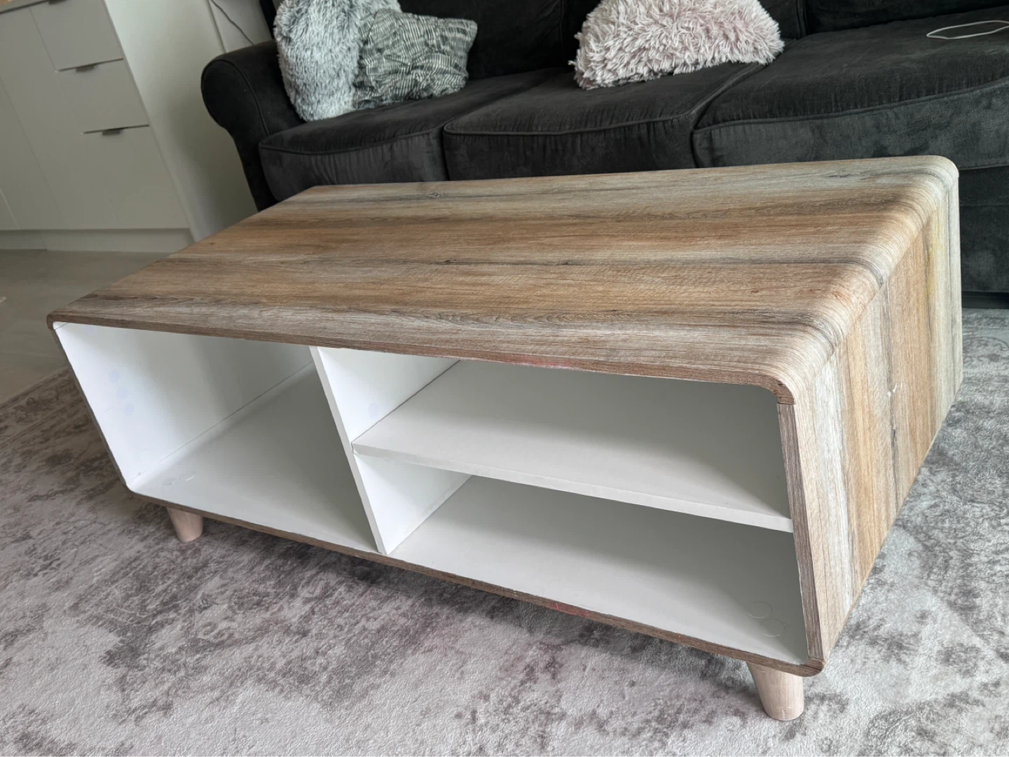 Modern Coffee Table with Storage Shelves