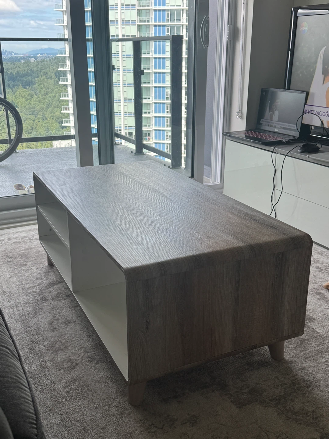 Modern Coffee Table with Storage Shelves - photo 5