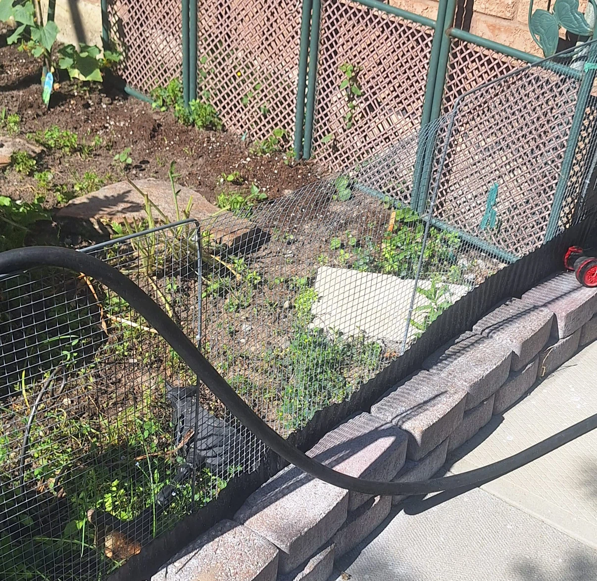 Wire Mesh Roll - photo 2