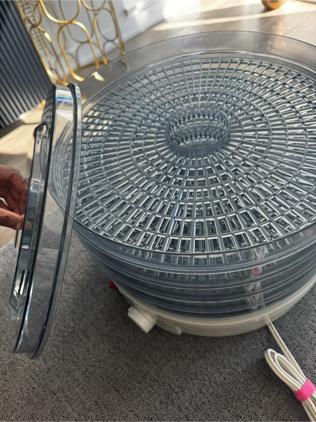 Salton Food Dehydrator - photo 4