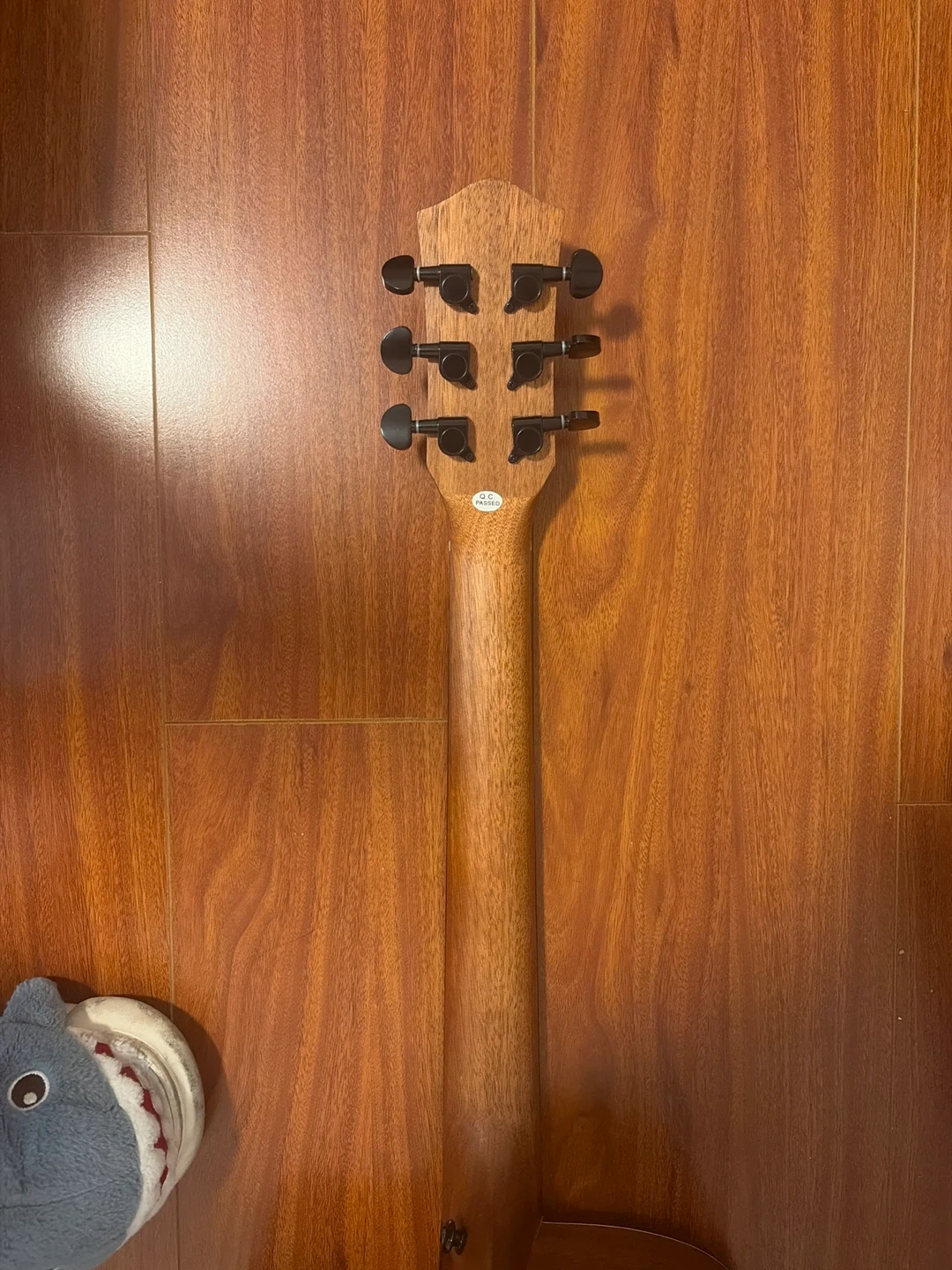 Fully Body Combo w Gig Donner Acoustic Guitar; DAG-1C/DAD-110C - photo 3