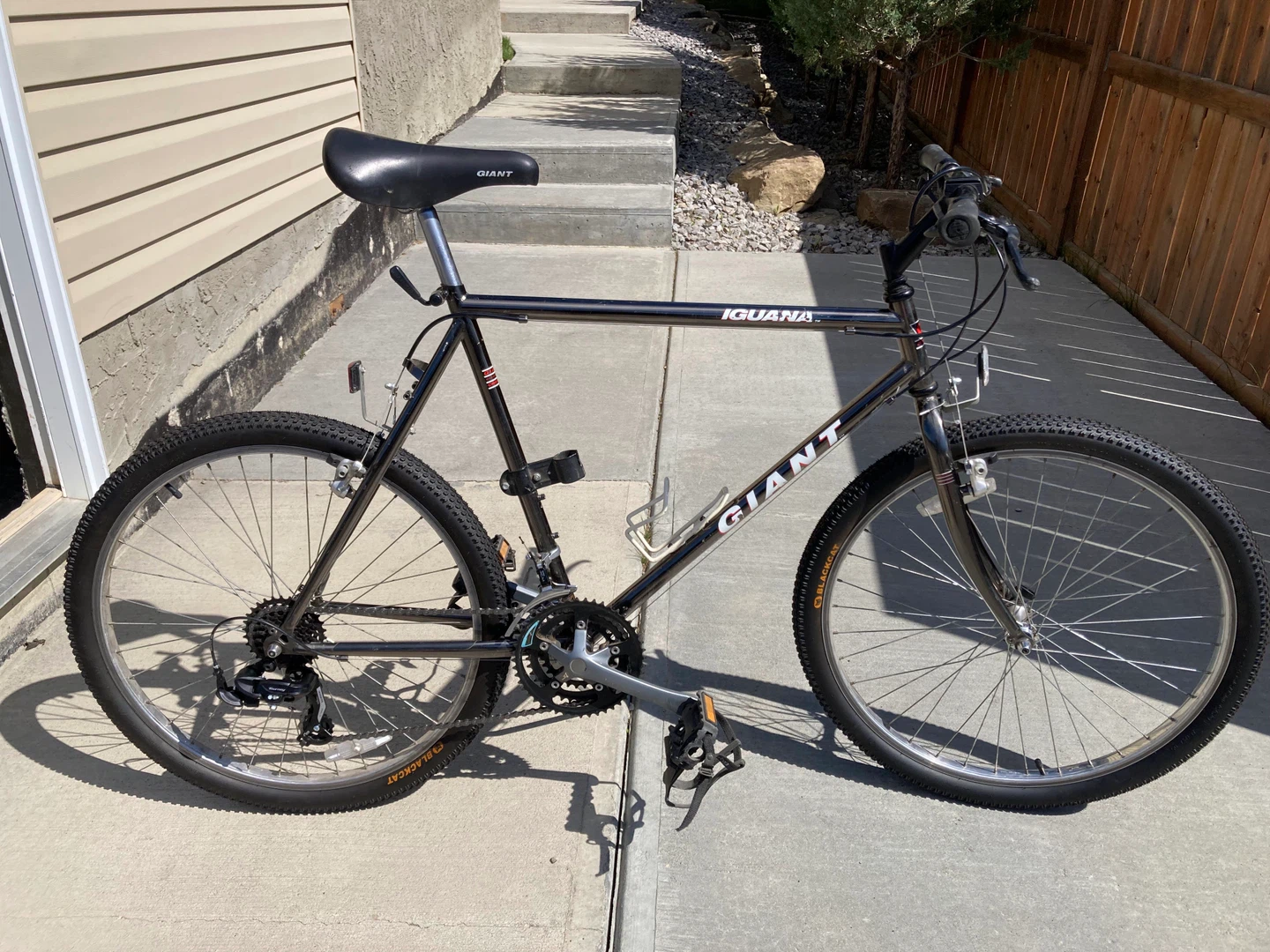 Giant Iguana Mountain Bike – $100 OBO