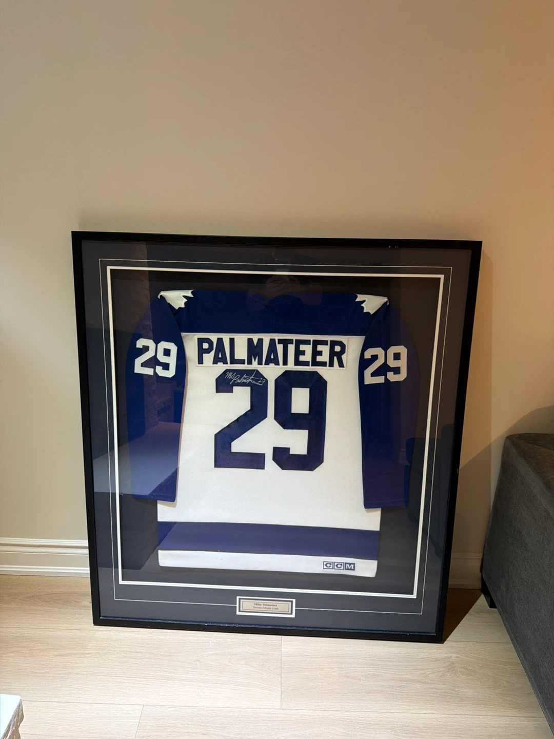 Mike Palmateer jersey in Frame