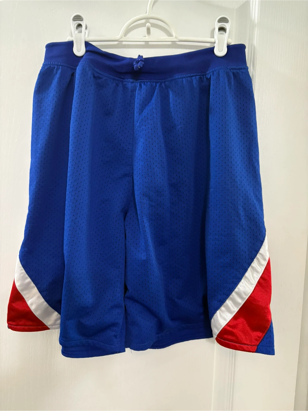 Blue Athletic Shorts size L