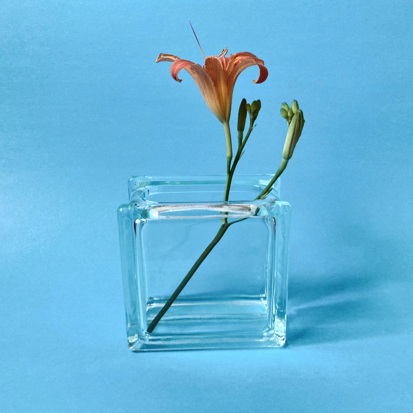 Glass Block Vase