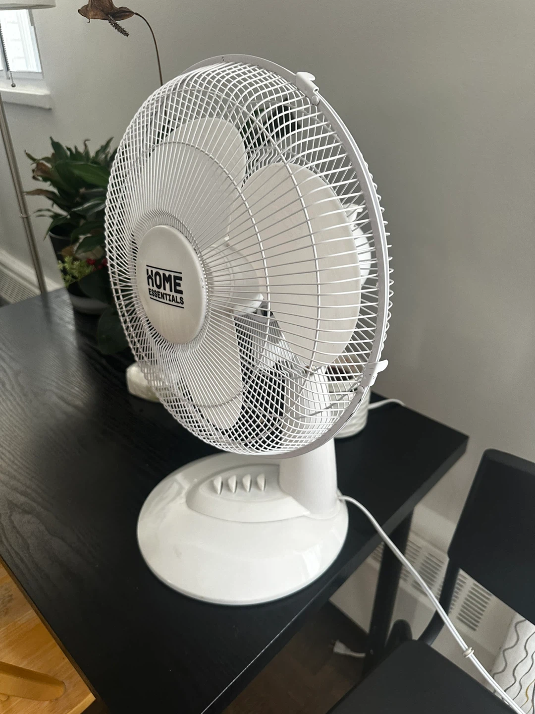 Home Essentials Desk Fan